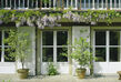 Houtverf Dekkend Ambiente