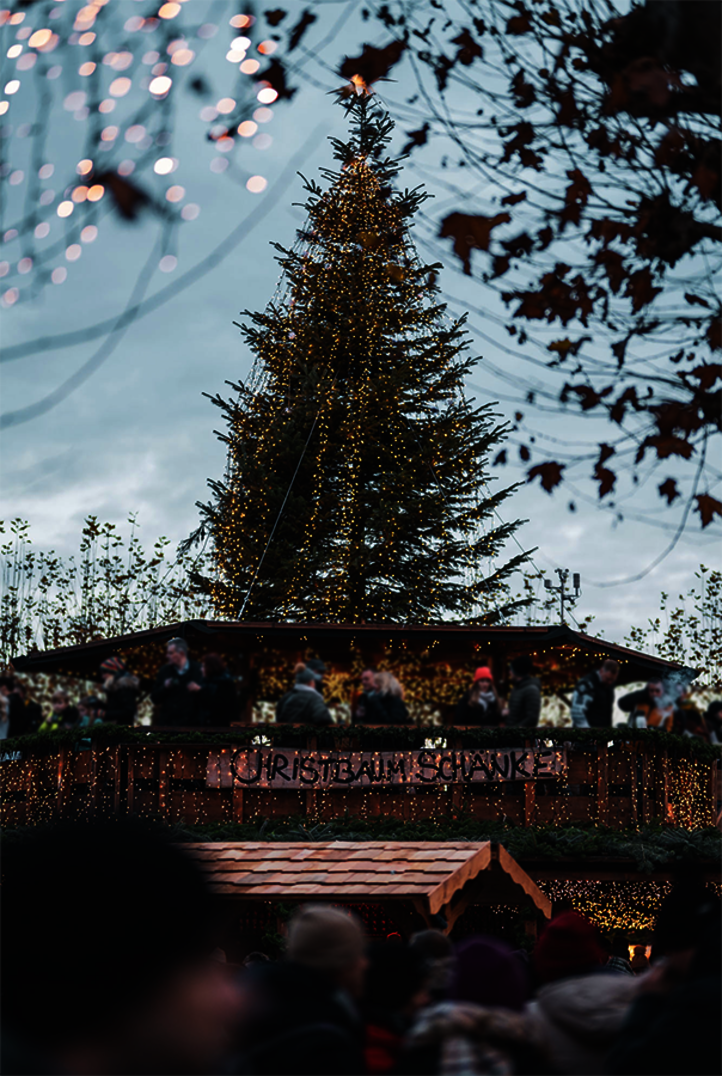 Constance Lakeshore Christmas Market - Germany