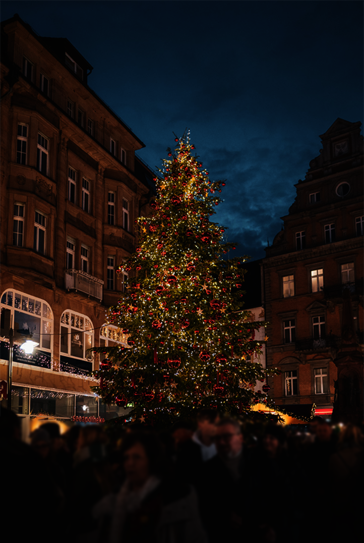 Constance Lakeshore Christmas Market - Germany