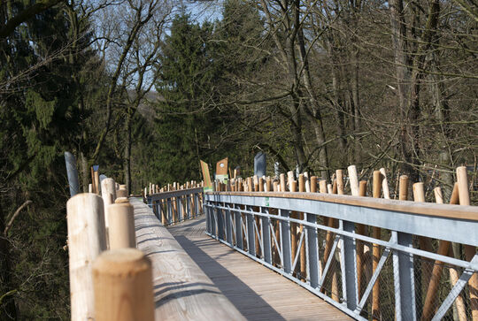 Festival naturalistico di Bad Iburg