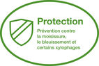 Protection - Prévention contre la moisissure, le bleuissement et certains xylophages