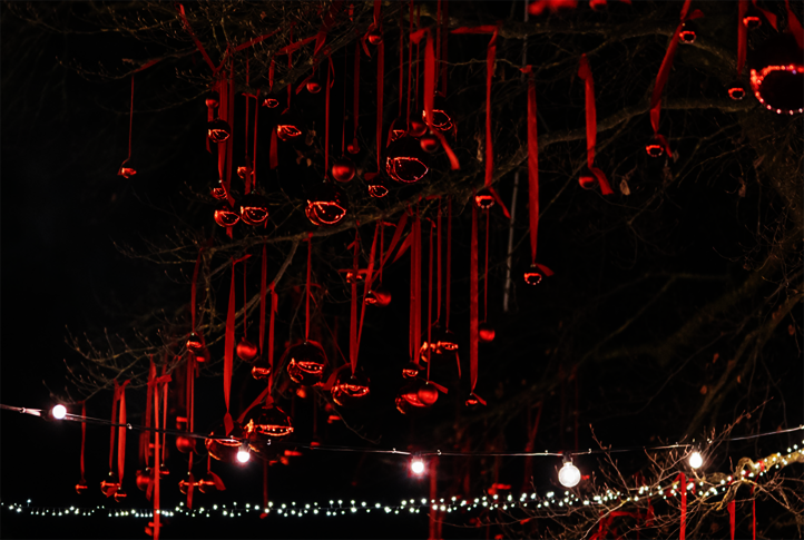 Constance Lakeshore Christmas Market - Germany