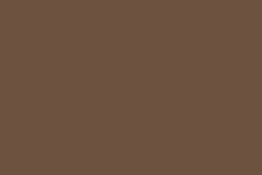 Osmo Country Shades E38 Brilliant Burrow - A deep brown inspired by the brilliant burrows that many of nature’s animals create.