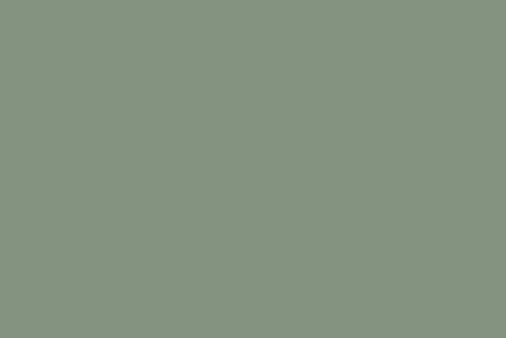 Osmo Country Shades W119 Canaletto - This cloudy shade of green has been named after the Italian painter noted for his detailed and precisely proportioned views of Venice and its waters.