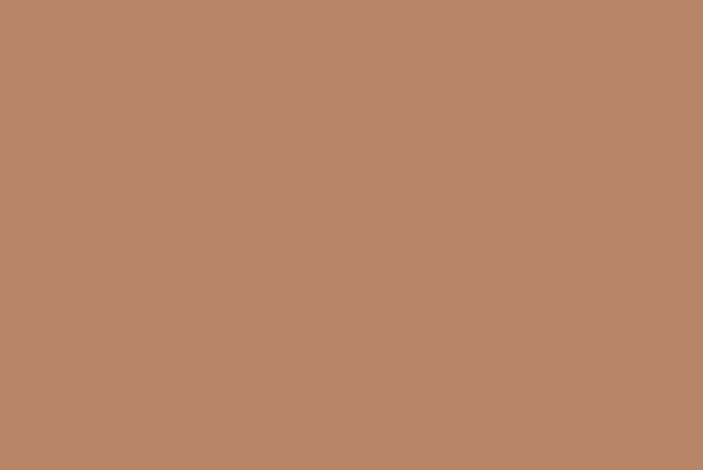 Osmo Country Shades E57 General Sherman - The deftest touch of brown provides natural warmth to a mid-tone orange named after the world’s largest known currently living tree located in Sequoia National Park, California.