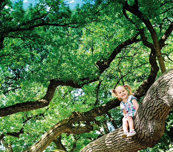 Una niña sentada en un árbol, sonriendo feliz